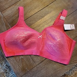 Nwt lane Bryant bra